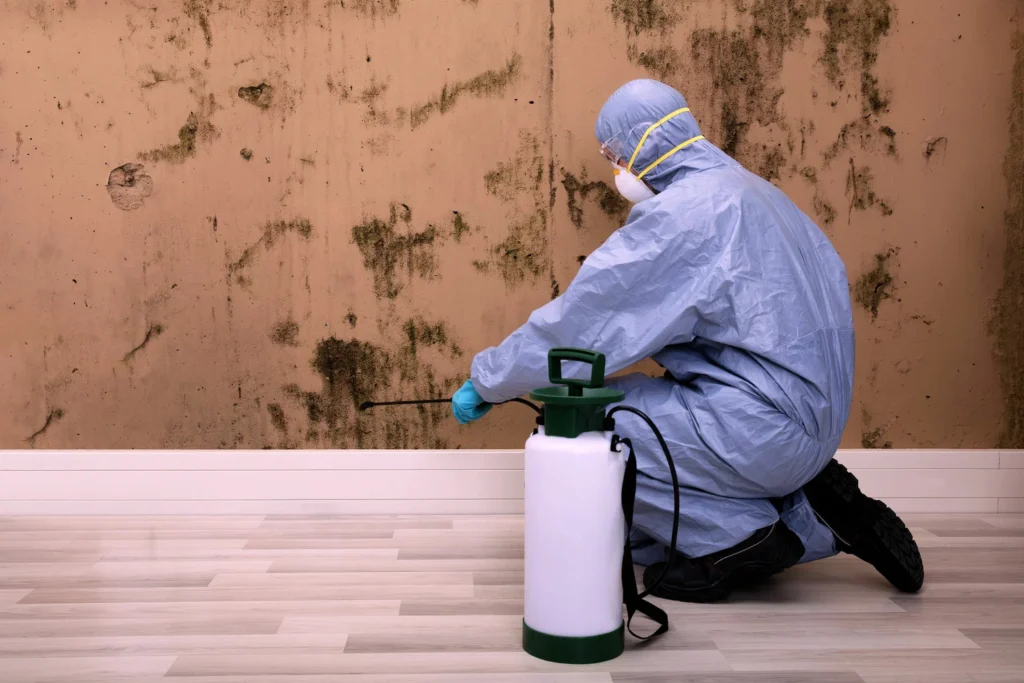 Mold Remediation