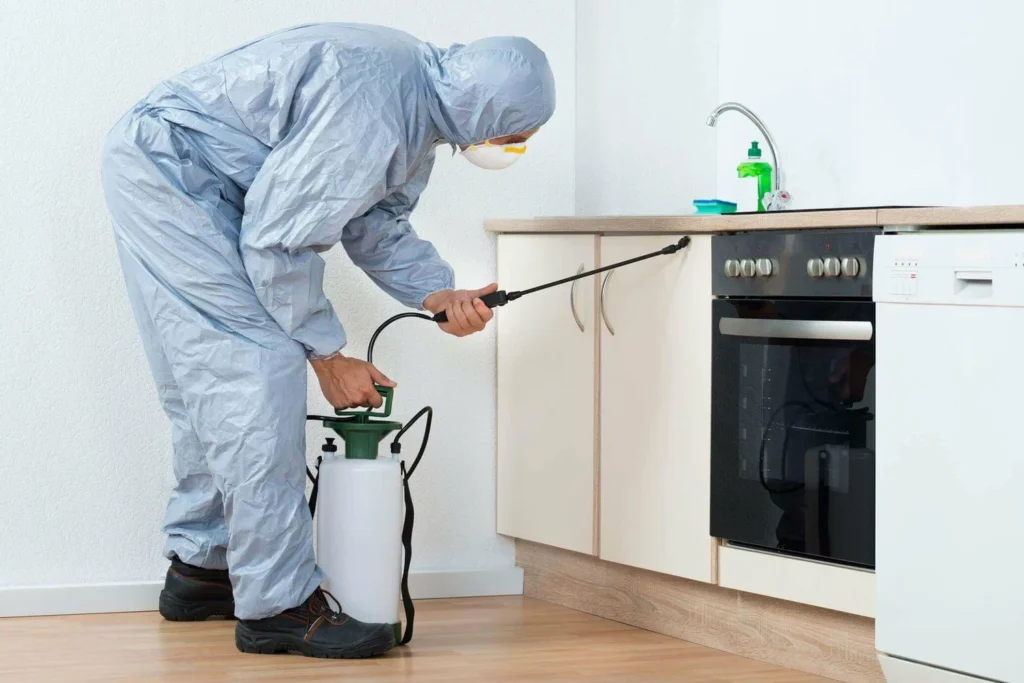 Odor Removal